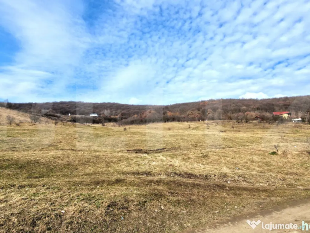 Teren intravilan 4100 mp în Florești | Parcelabil | Zonă 