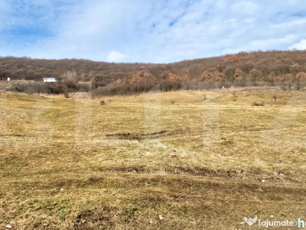 Teren intravilan 4100 mp în Florești | Parcelabil | Zonă 