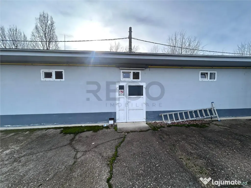 Hala industriala de in Marghita – 650 mp hala birouri 200 