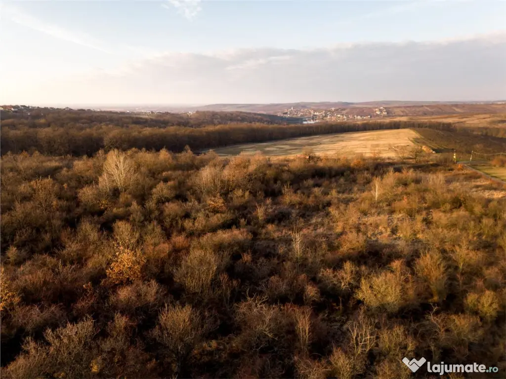 Reco Teren intravilan in Saldabagiu de munte 4333MP 