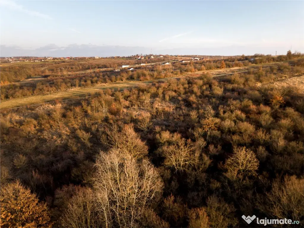 Reco Teren intravilan in Saldabagiu de munte 4333MP 