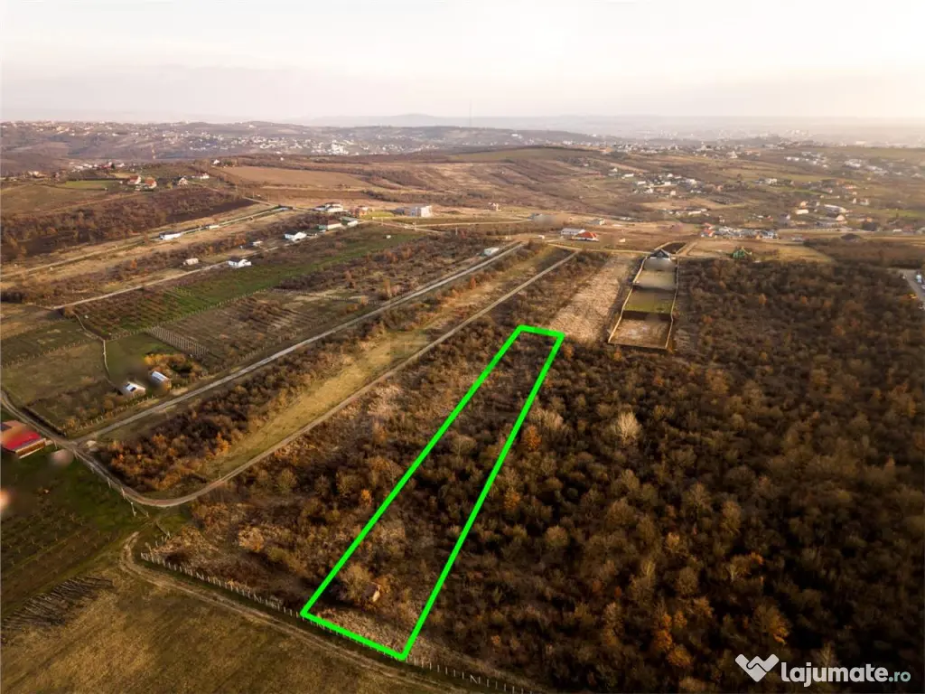 Reco Teren intravilan in Saldabagiu de munte 4333MP 