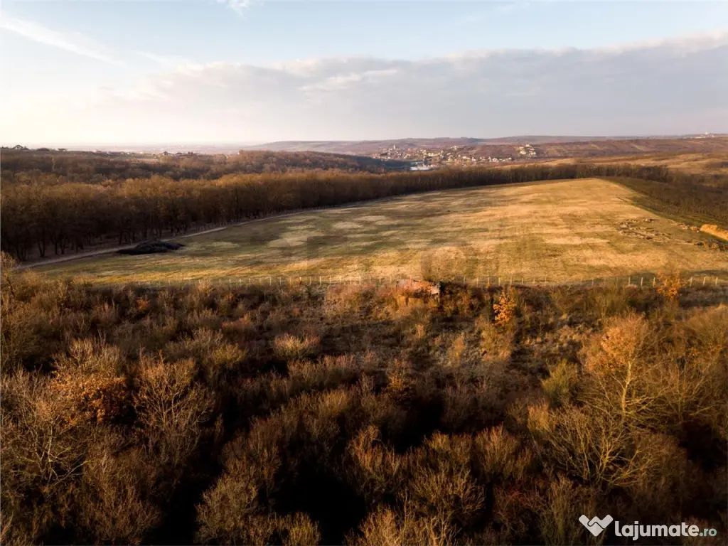 Reco Teren intravilan in Saldabagiu de munte 4333MP 