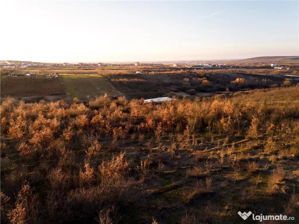 RECO Teren Intravilan 5305mp Paleu 