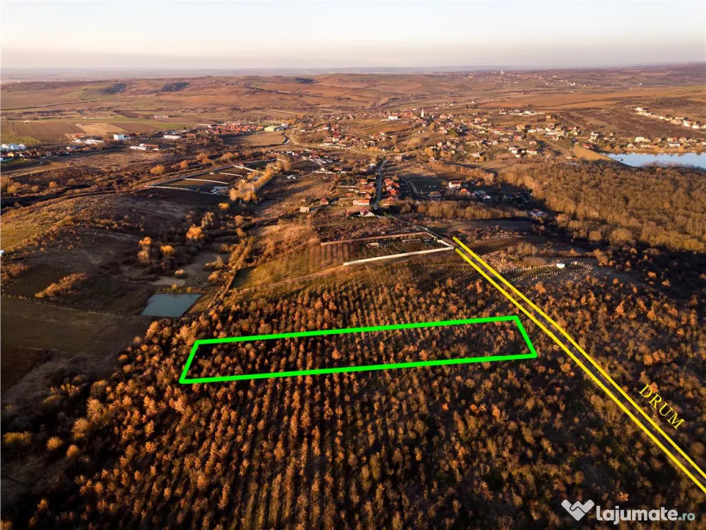 RECO Teren Intravilan 5305mp Paleu 