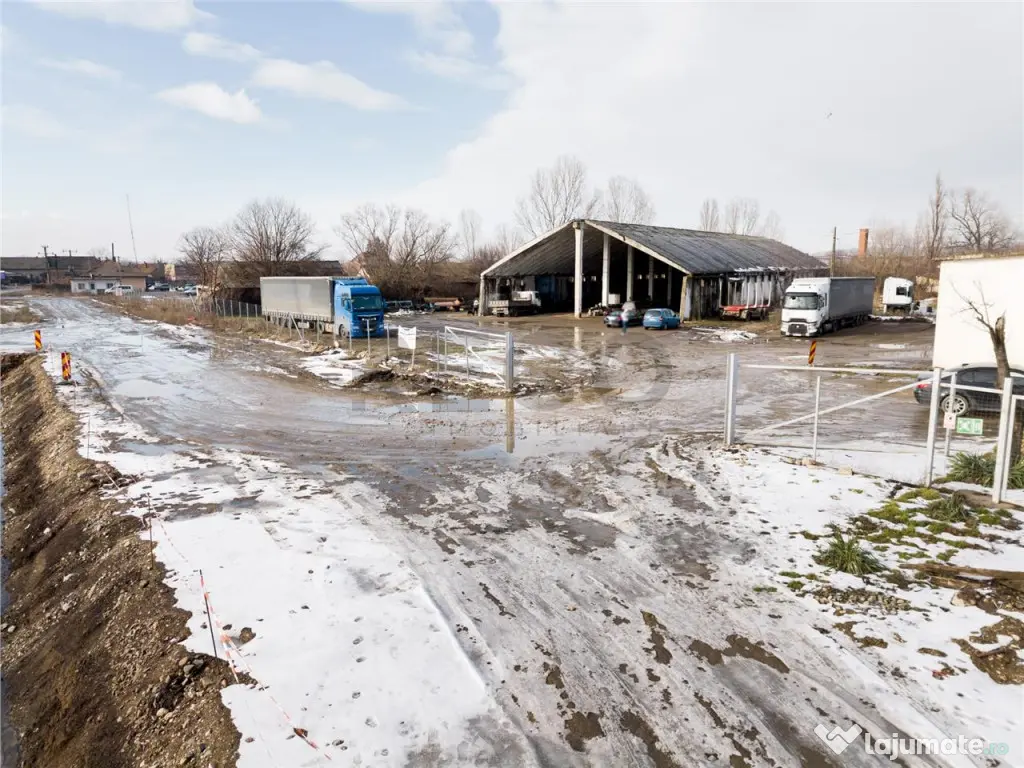 RECO . Proprietate industriala Tileagd . 