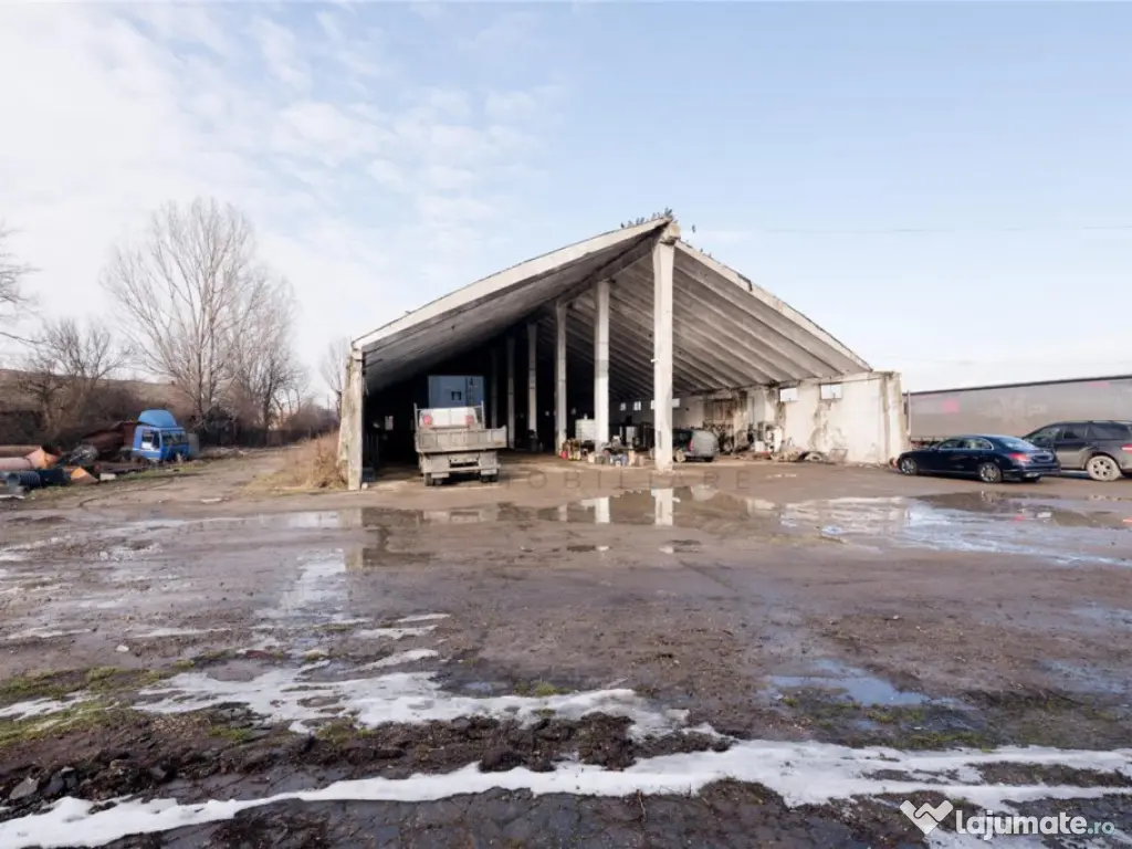 RECO . Proprietate industriala Tileagd . 