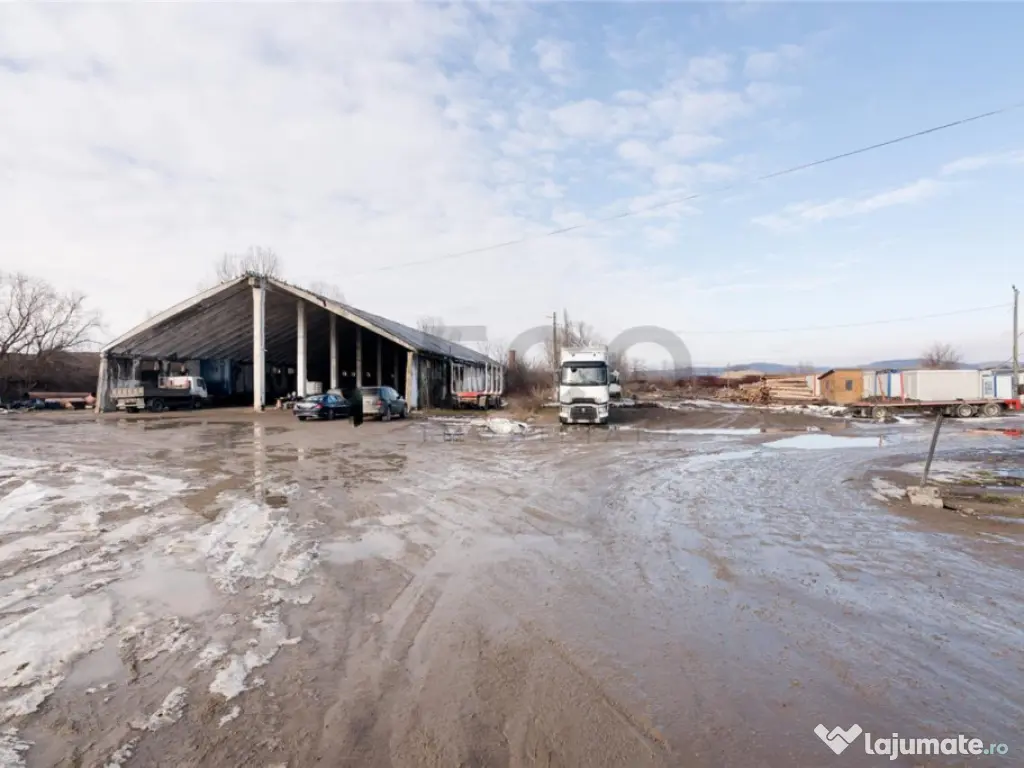 RECO . Proprietate industriala Tileagd . 