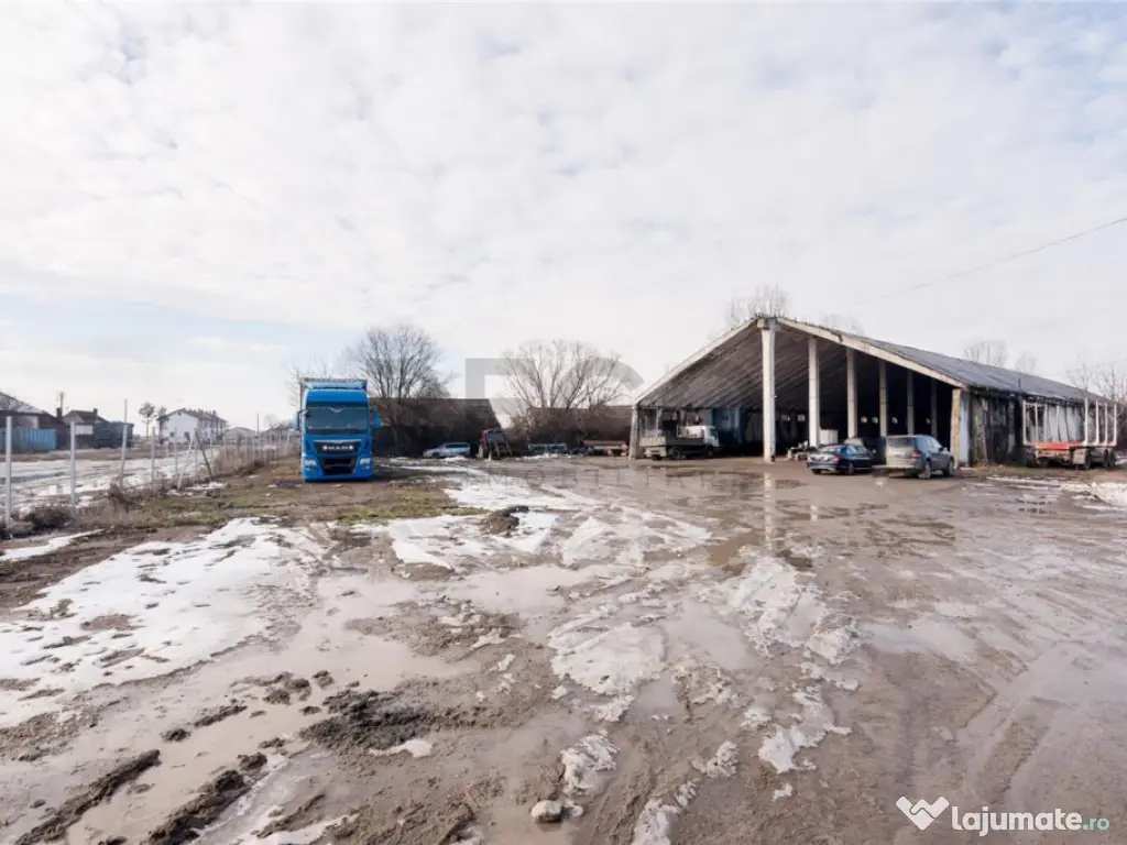 RECO . Proprietate industriala Tileagd . 