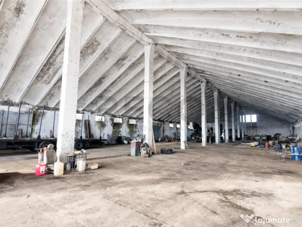 RECO . Proprietate industriala Tileagd . 