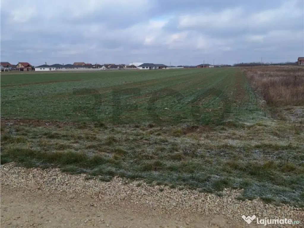 Reco, teren intravilan Nojorid 