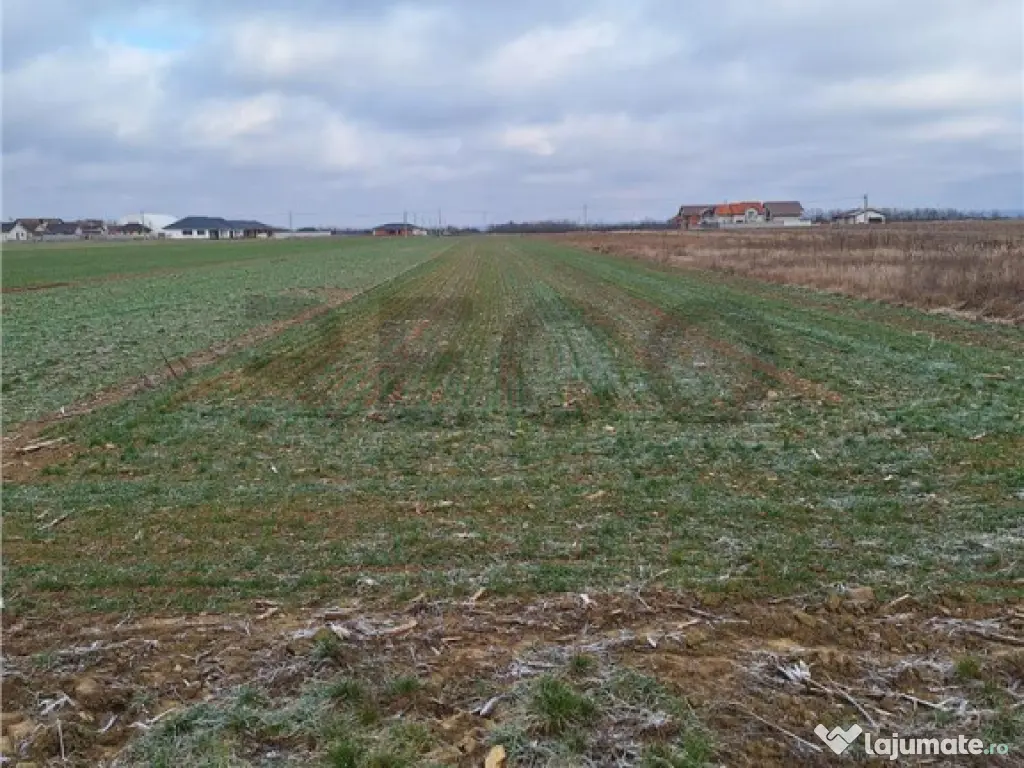 Reco, teren intravilan Nojorid 