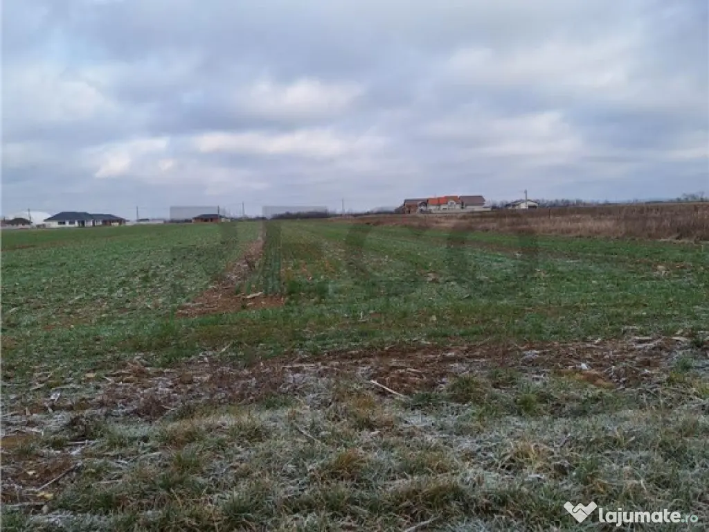 Reco, teren intravilan Nojorid 