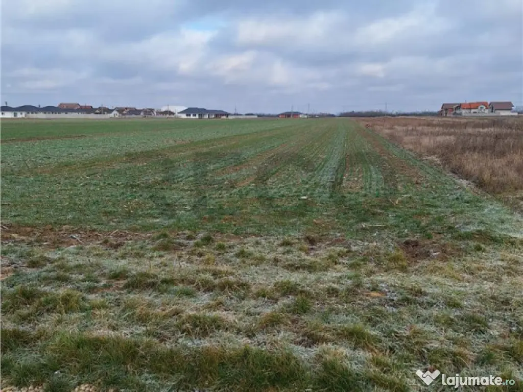 Reco, teren intravilan Nojorid 