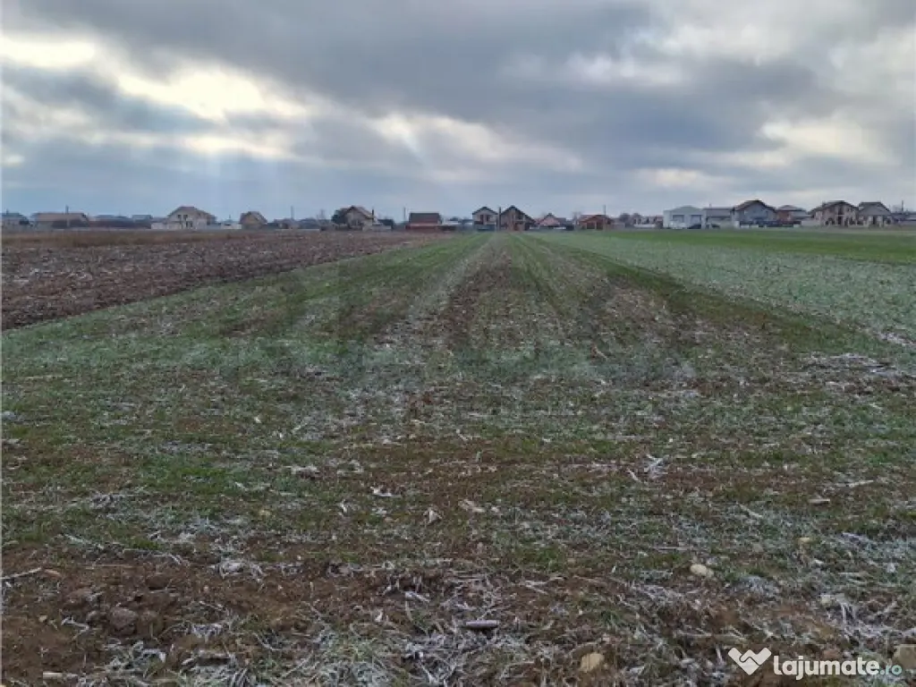 Reco, teren intravilan Nojorid 