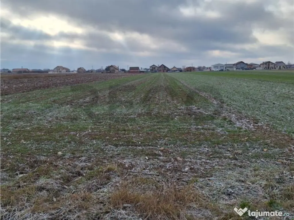 Reco, teren intravilan Nojorid 