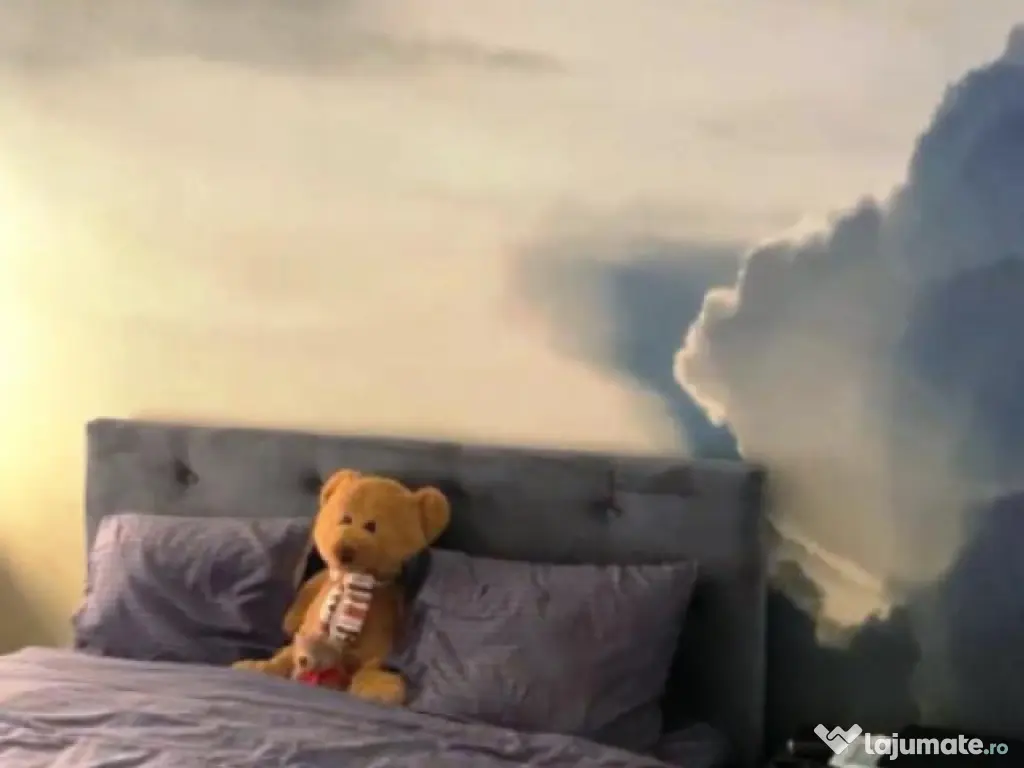 Drumul Taberei-Ghencea-Brasov, 10 min Metrou Raul Doamnei 