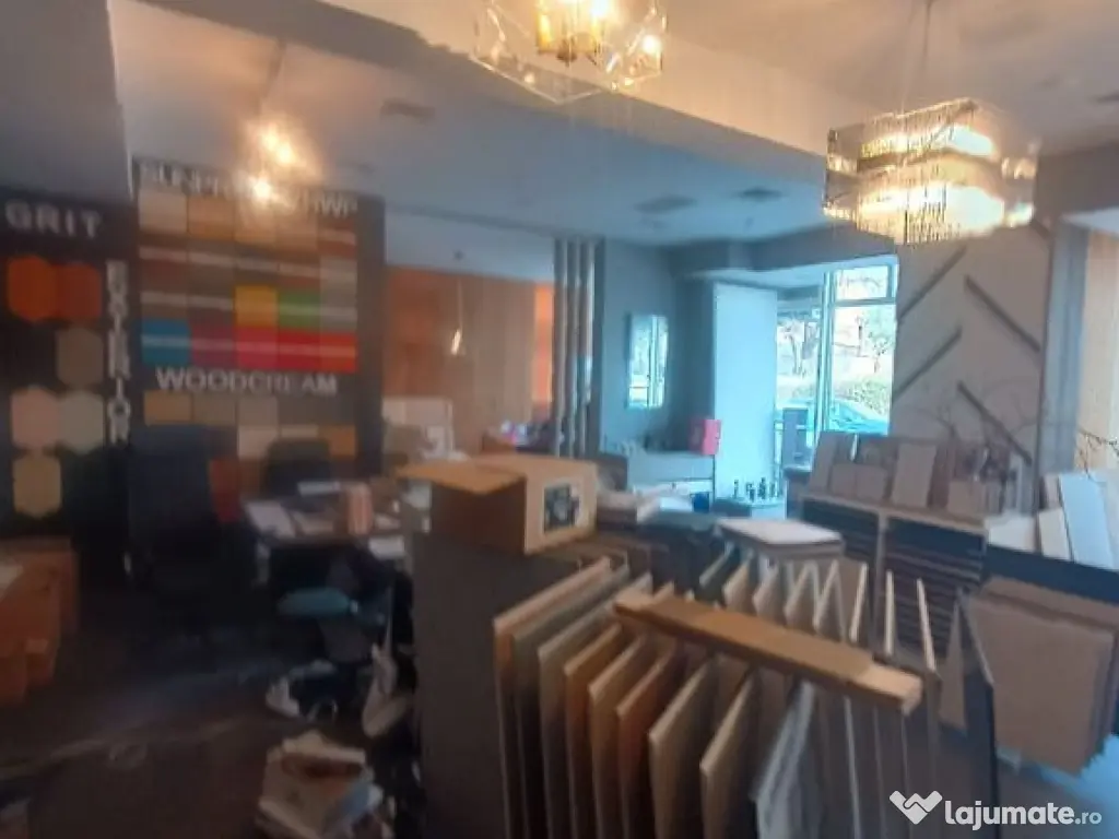 Spatiu comercial Titulescu Banu Manta 260 mp 