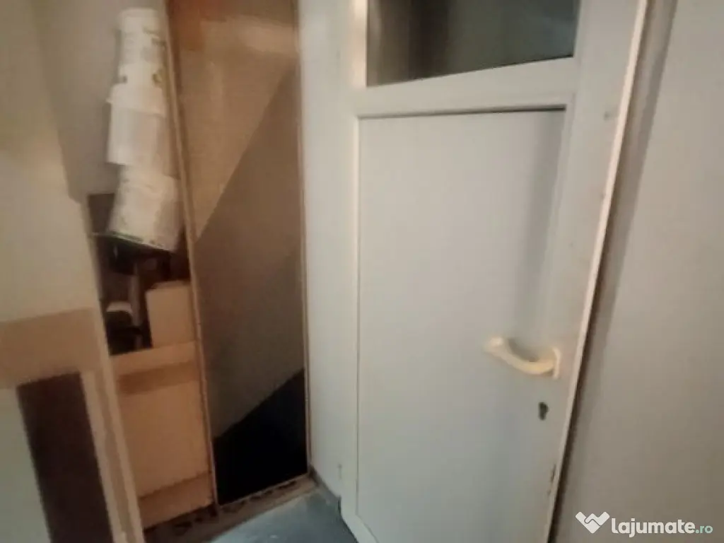 Spatiu comercial Titulescu Banu Manta 260 mp 