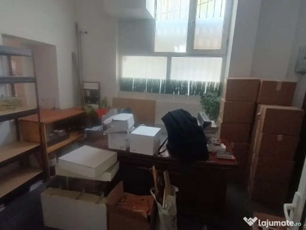 Spatiu comercial Titulescu Banu Manta 260 mp 