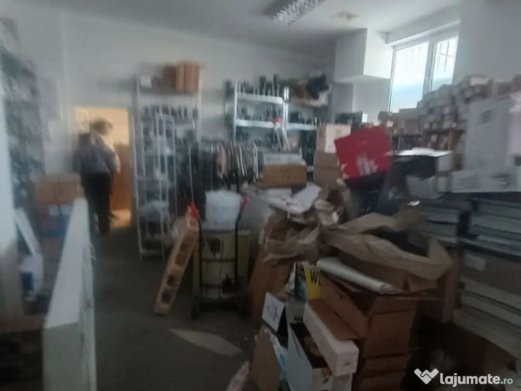 Spatiu comercial Titulescu Banu Manta 260 mp 