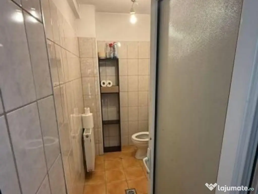 Spatiu comercial Titulescu 