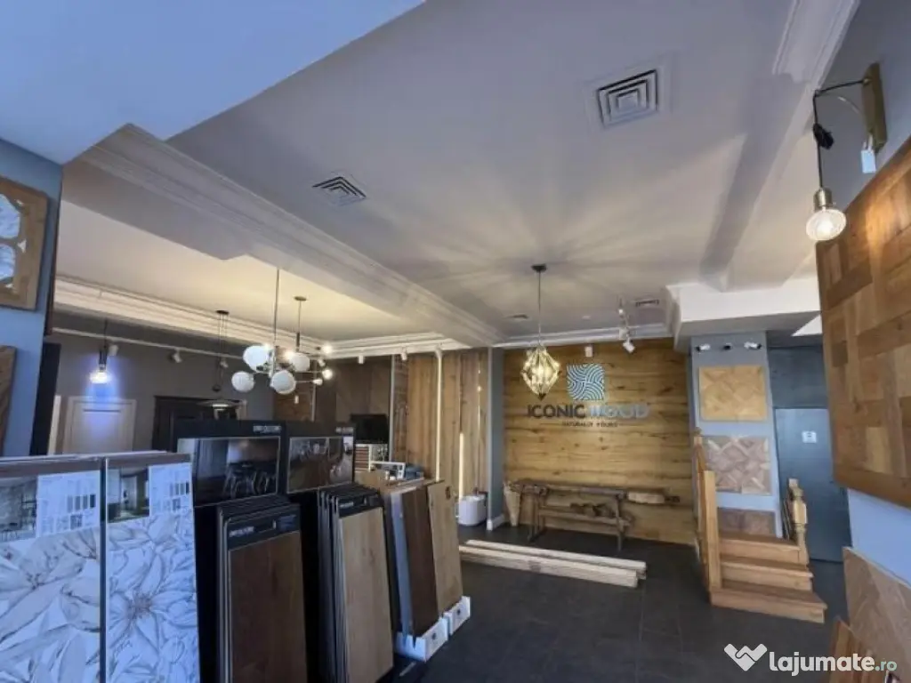 Spatiu comercial Titulescu Banu Manta 260 mp 