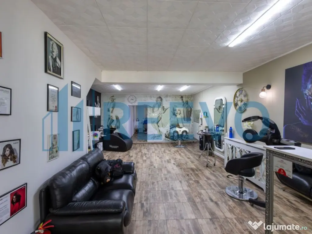 Clădire și teren de investiție, central Roman 