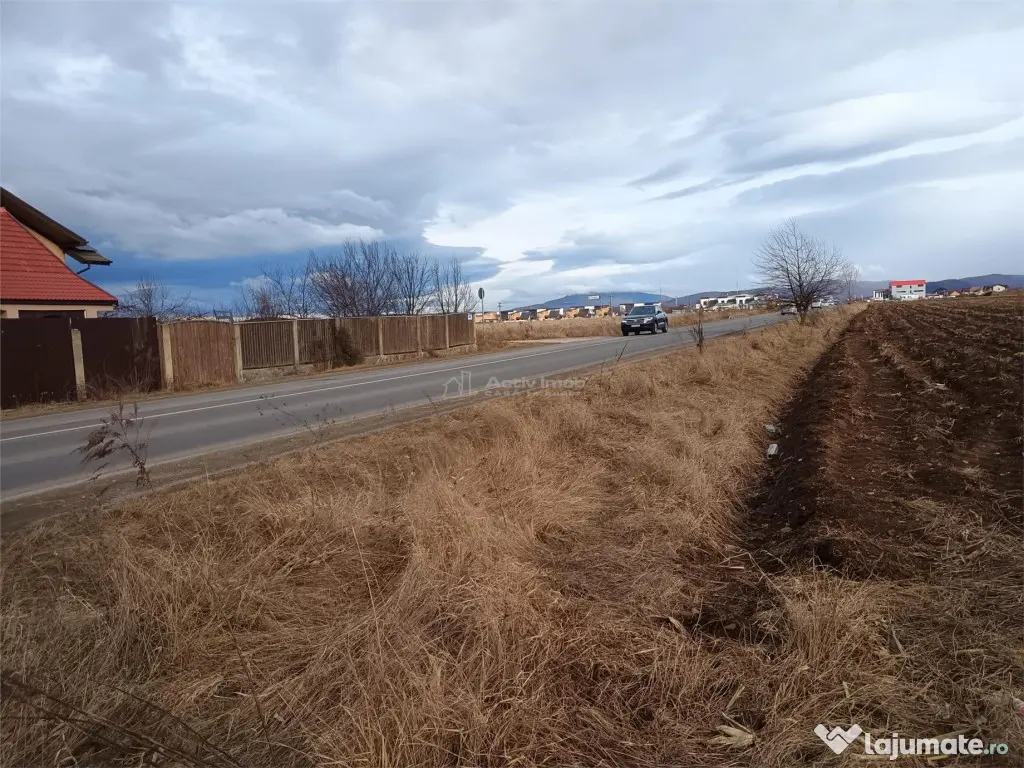 Teren 9000 mp Sacele Izvor, front 356 m la DJ 103A 