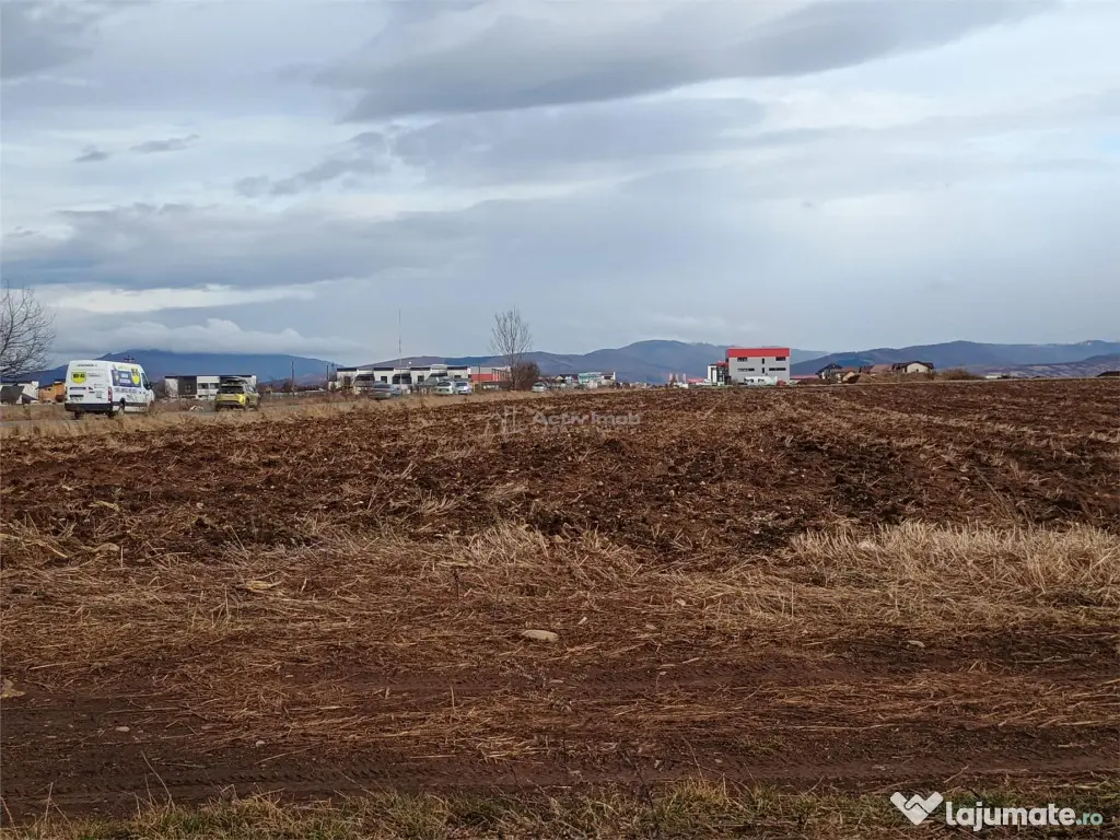 Teren 9000 mp Sacele Izvor, front 356 m la DJ 103A 