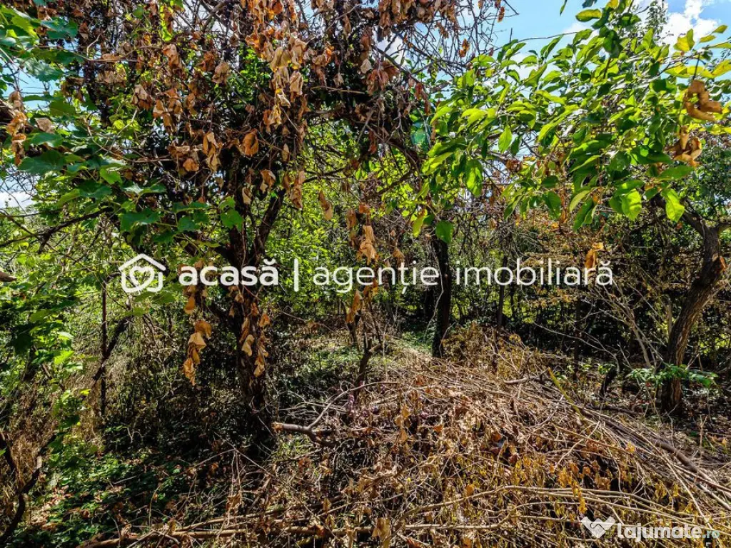 Casă pe Dorobanților | 716 mp teren | centrală gaz | P... 