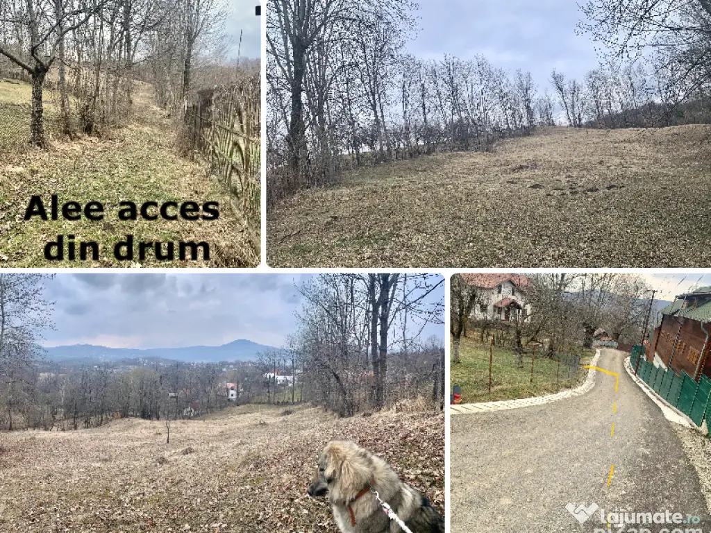 Teren intravilan com.Talea 