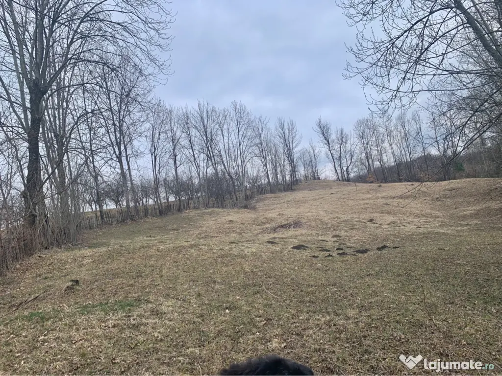 Teren intravilan com.Talea 