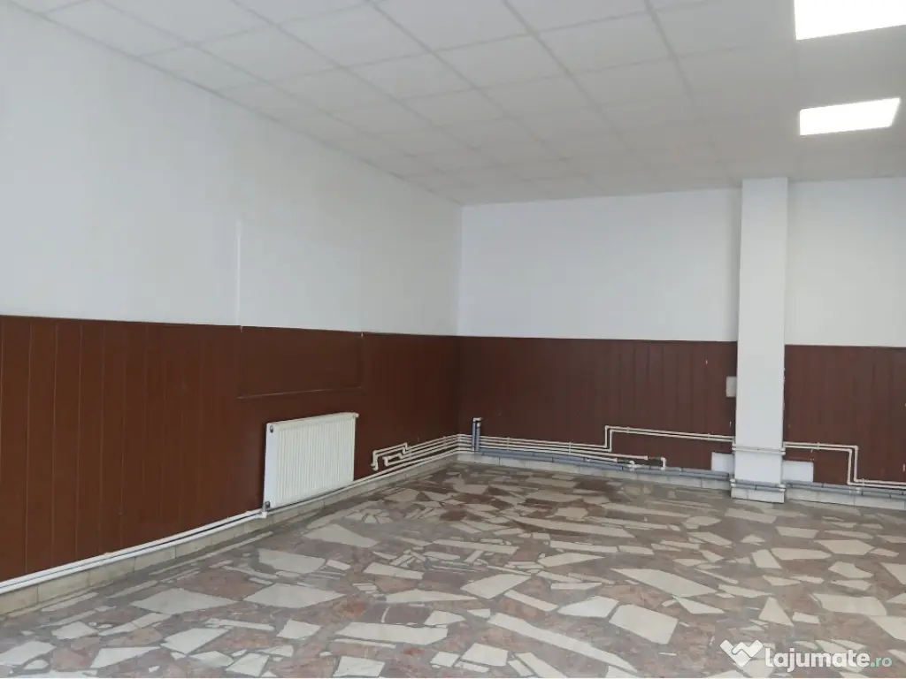 Spatiu comercial DN1 stradal