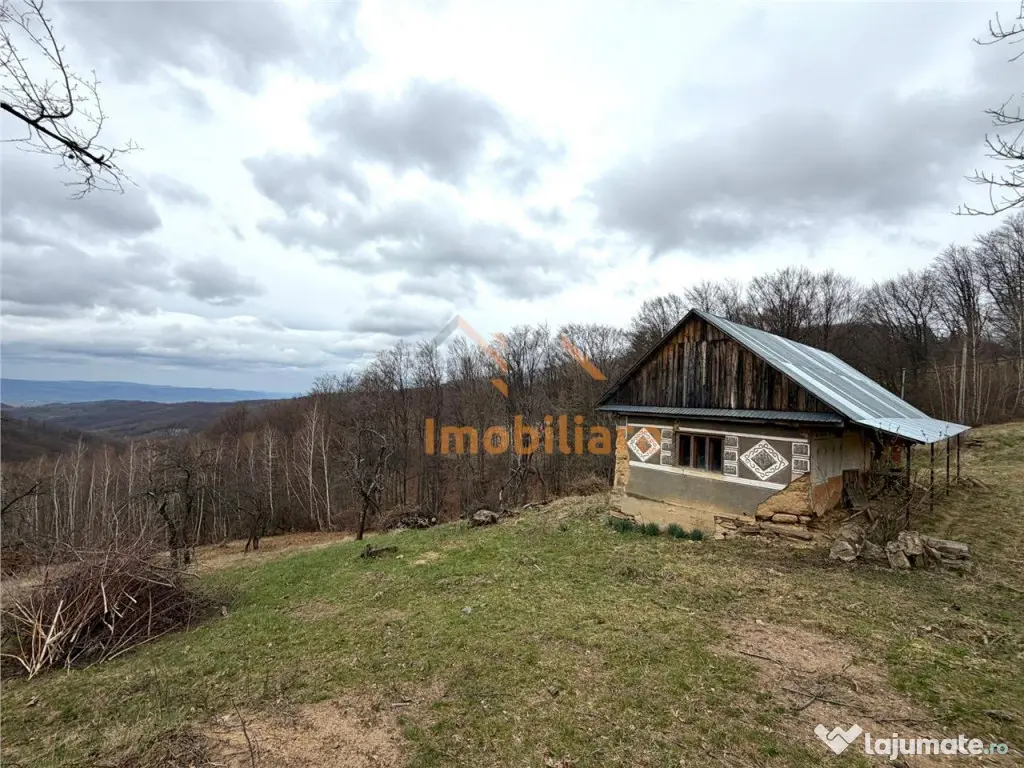 TEREN 34.000 MP | SERANI BIHOR 