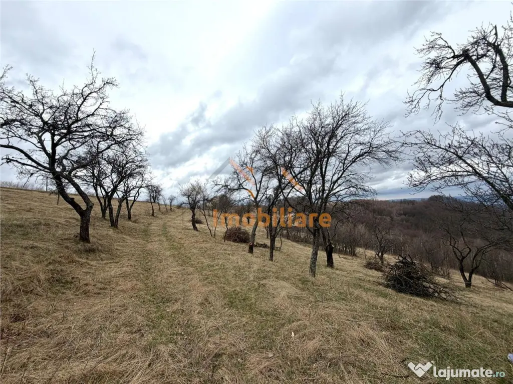 TEREN 34.000 MP | SERANI BIHOR 