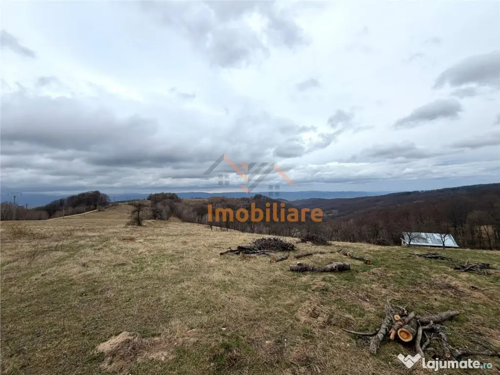 TEREN 34.000 MP | SERANI BIHOR 