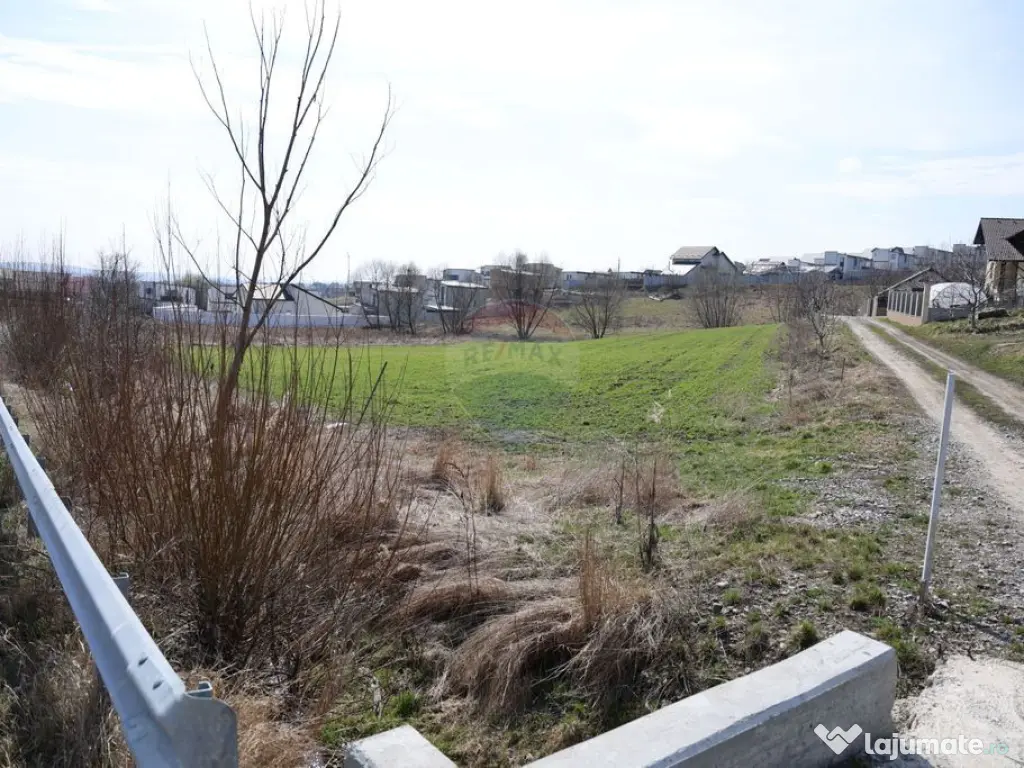 Teren 3,500mp Moara / Strada Pprincipala 