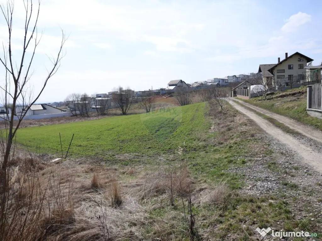 Teren 3,500mp Moara / Strada Pprincipala 