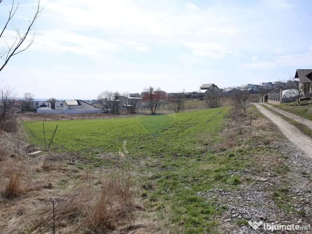 Teren 3,500mp Moara / Strada Pprincipala 