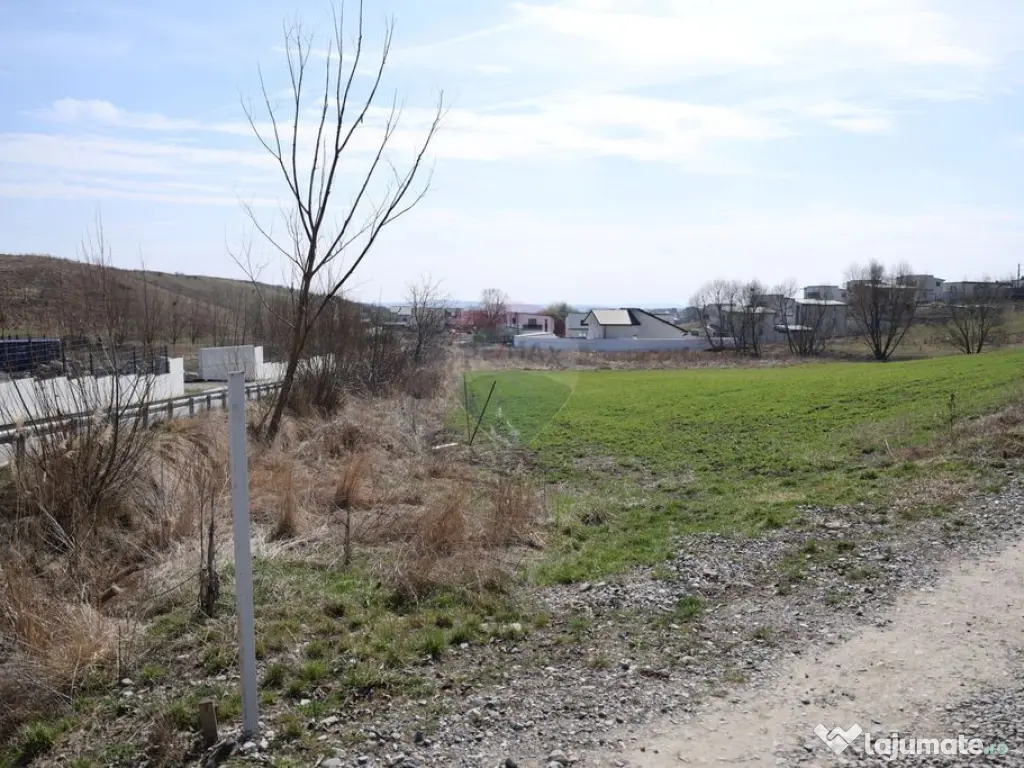 Teren 3,500mp Moara / Strada Pprincipala 