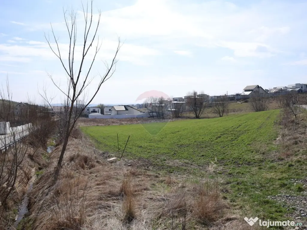 Teren 3,500mp Moara / Strada Pprincipala 