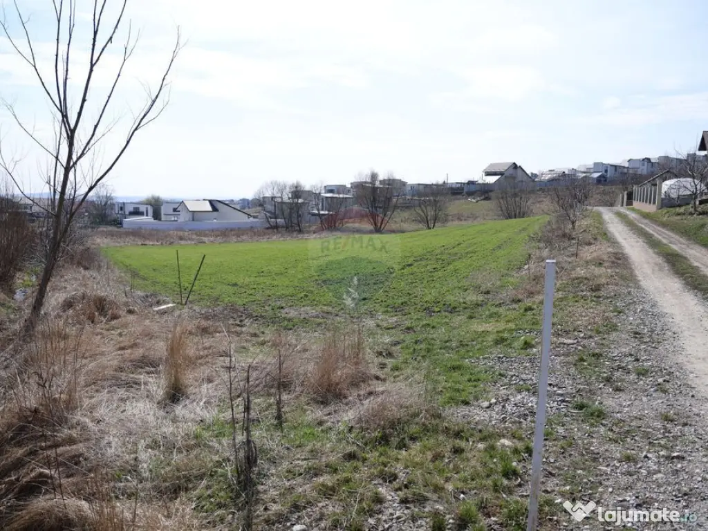 Teren 3,500mp Moara / Strada Pprincipala 