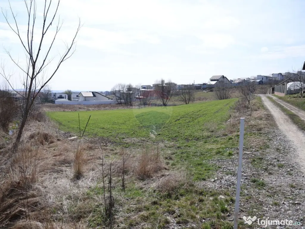 Teren 3,500mp Moara / Strada Pprincipala 