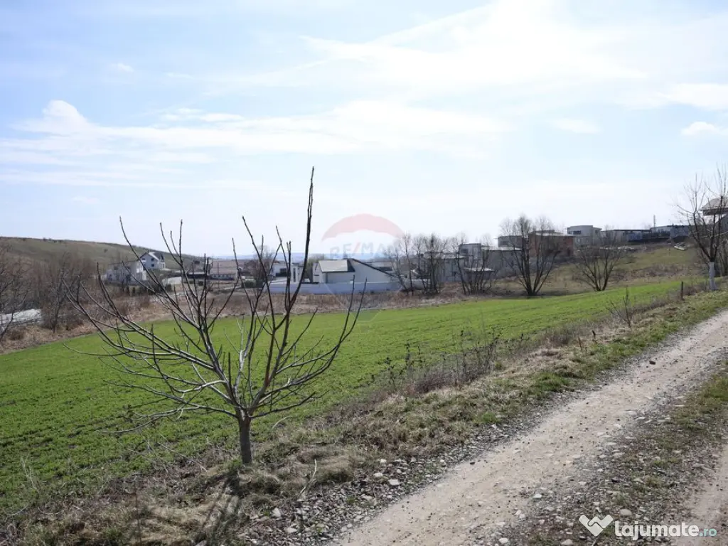 Teren 3,500mp Moara / Strada Pprincipala 