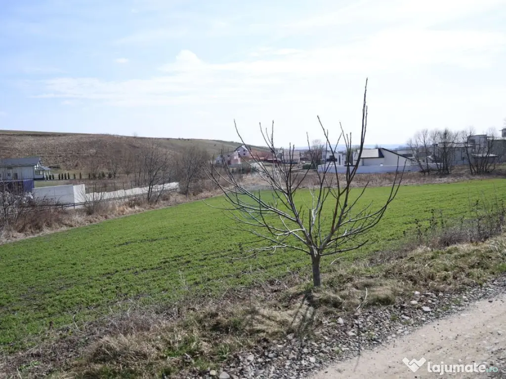 Teren 3,500mp Moara / Strada Pprincipala 