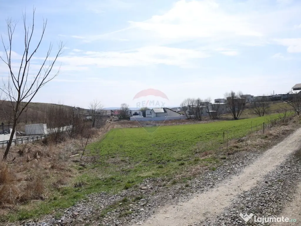 Teren 3,500mp Moara / Strada Pprincipala 