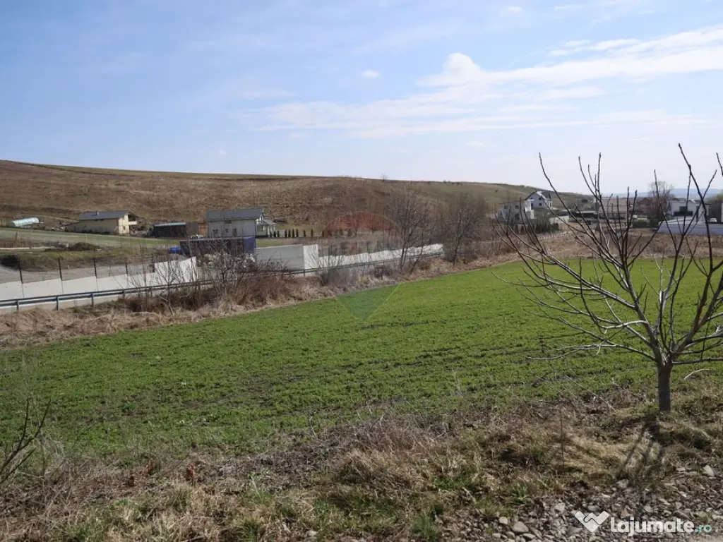 Teren 3,500mp Moara / Strada Pprincipala 