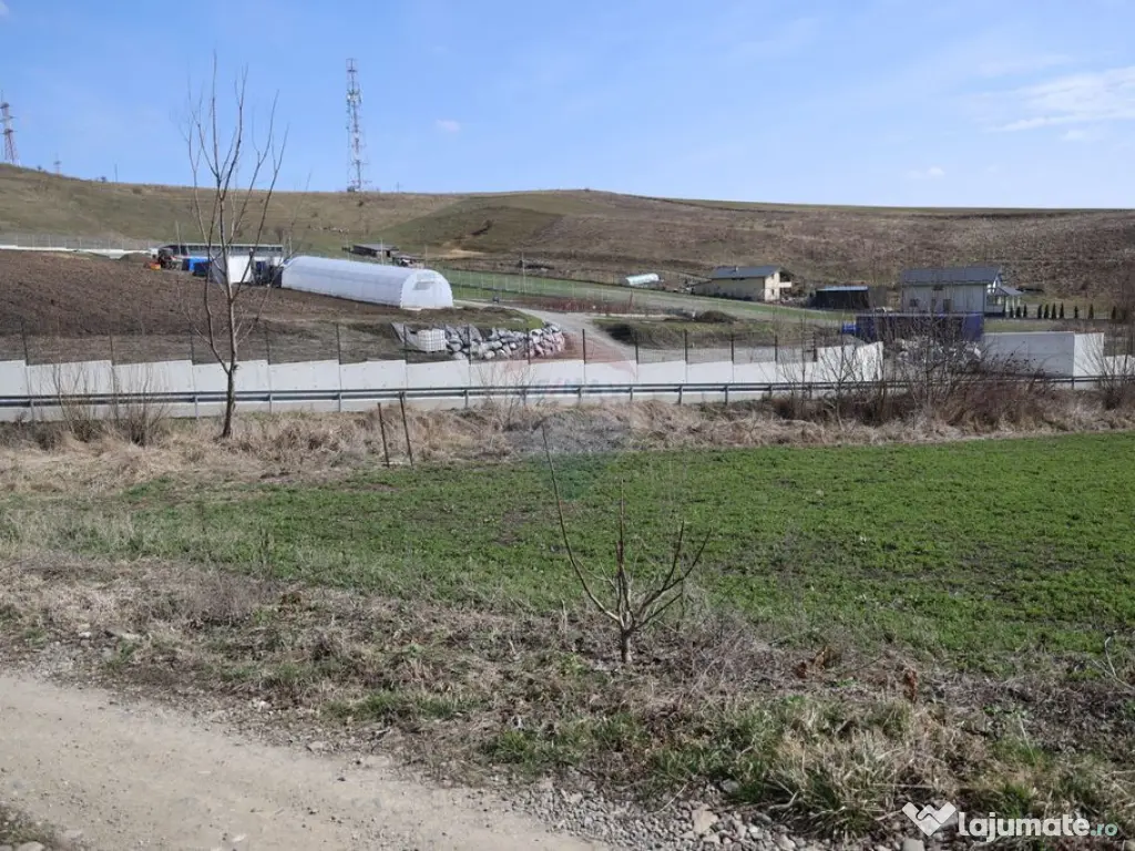 Teren 3,500mp Moara / Strada Pprincipala 