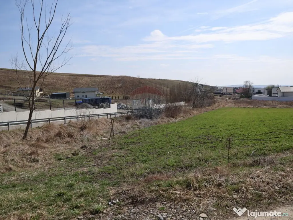 Teren 3,500mp Moara / Strada Pprincipala 